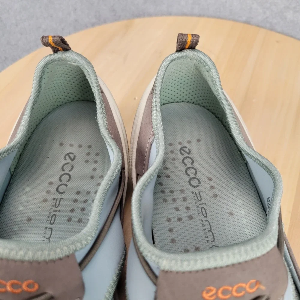 Ecco excellent pre
